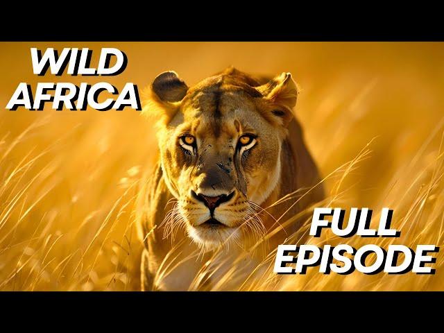 Wild Africa | Surviving The Savanna | Full Episode Wildlife Documentary