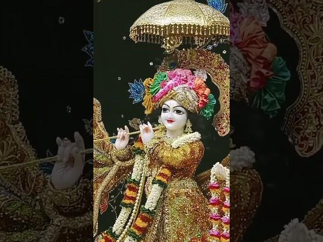 Sri Sri Radha Vrindavan Chandra darshan