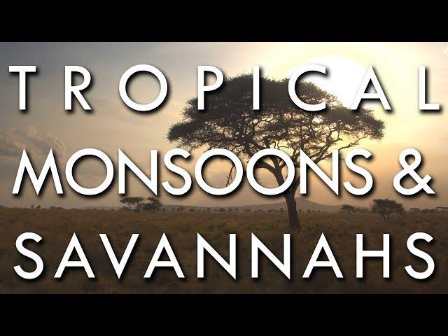 The Tropical Monsoon and Tropical Savannah Climates - Secrets of World Climate #2