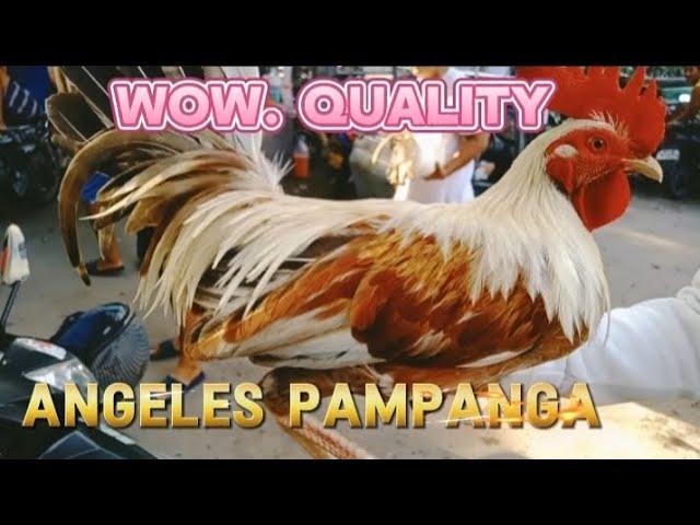 PART#67 WOW MURA NA QUALITY PA!! ANGELES PAMPANGA.. #bocaue #bossperry #20wilz