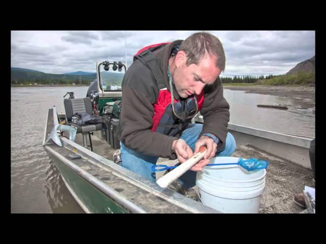 UAF - research - hydrokinetic turbine's effect on fish