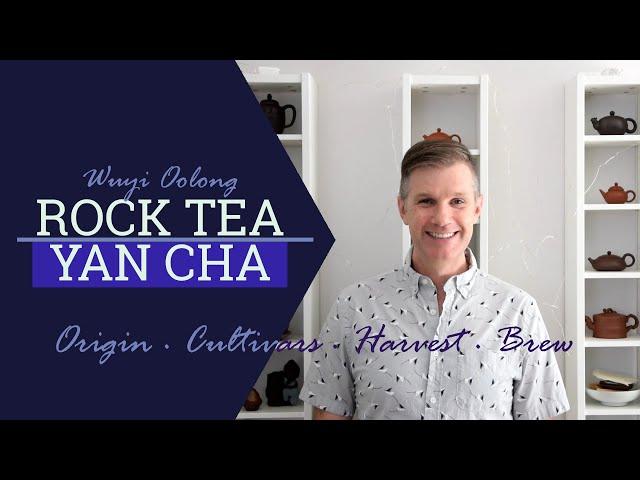 What is Wuyi Yancha? | Basics about rock tea | Chinese Oolong Tea | ZhenTea