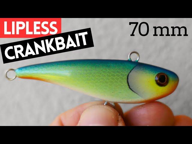 Making a LIPLESS CRANKBAIT LURE That Catches Fish