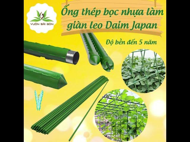 Làm giàn leo, khung leo cho cây với cây lõi thép bọc nhựa Daim Japan màu xanh