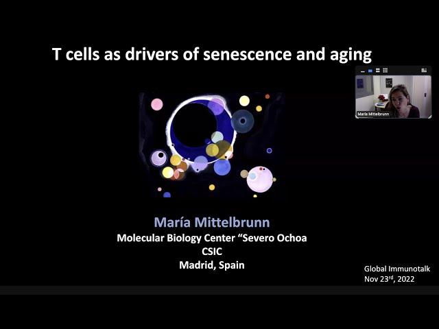 "T cells as drivers of senescence and aging" by Dr. Maria Mittelbrunn