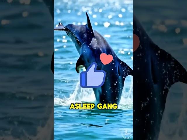This Animal Sleeps With Half Its Brain!?  #facts #mindblowing #animals #shorts