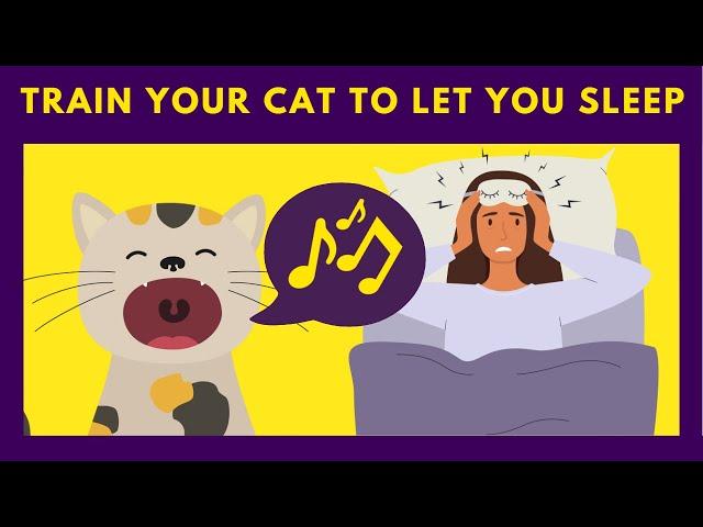 10 Easy Habit that Will Guarantee You a Peaceful Sleep - Train Your Cat to Let You Sleep 