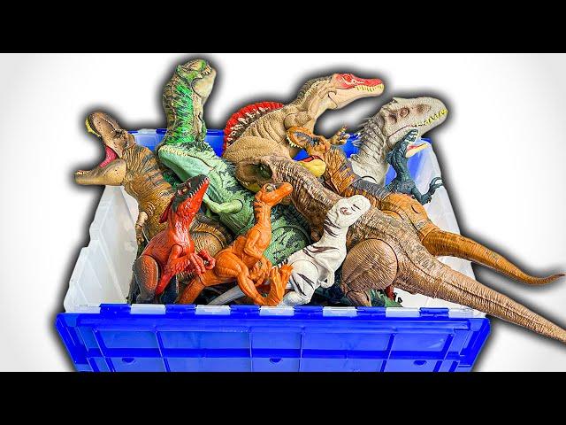 DINO Classifications! | Amazing Dinosaurs