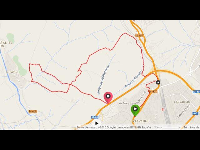 Bike - El Pardo (con Paul)