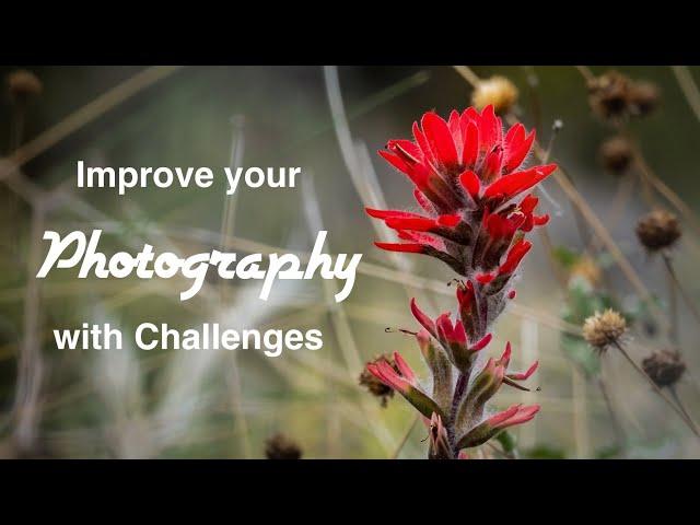 Improving Your Photography With Challenges