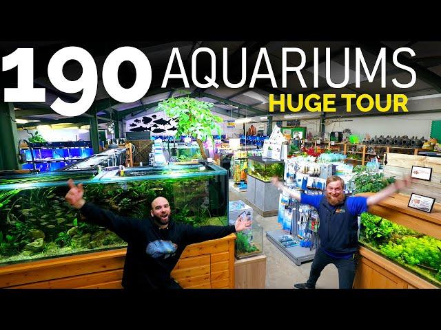 The BIGGEST Fish Shop Tour EVER! **Incl. Behind The Scenes!!** Over 190 Aquariums!!