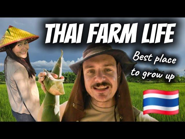 Living Off The Land In Rural Thailand