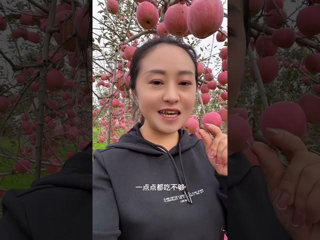 老挝媳妇嫁到中国真的是饱口福了