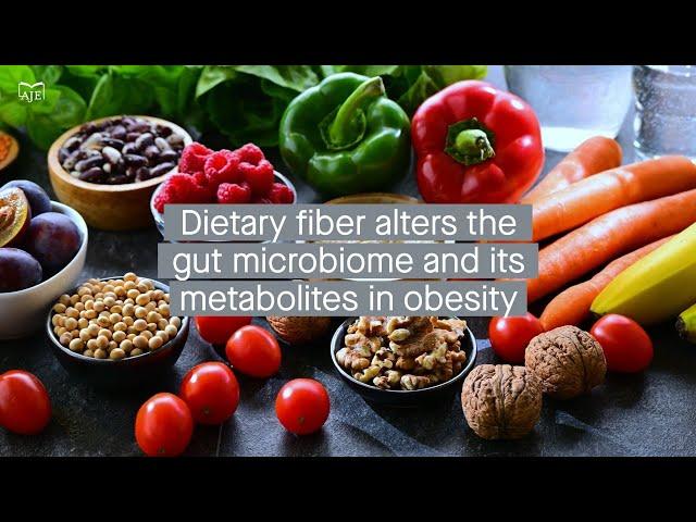 Understanding how fiber intake can protect against obesity by interacting with the gut microbiota