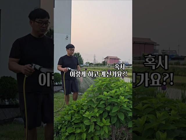 혹시 이렇게 하고 계시지는 않는지요? (물주는 방법&도구 추천)#shorts #전원주택라이프 #단독주택라이프 #셀프정원#물주는법#가데나