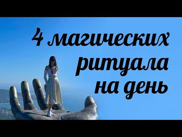 4 программы на день. Транслятор