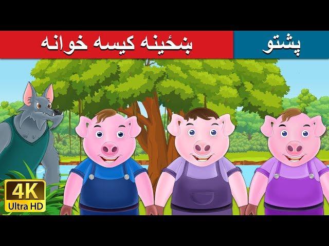 ښځینه کیسه خوانه | Three Little Pigs in Pashto | Pashto Story | Pashto Fairy Tales