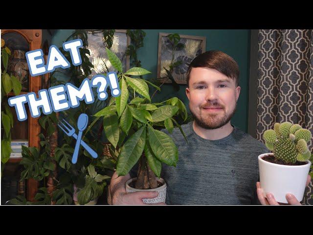 Eat Your Houseplants? 8 Plants + Bonus Plant Facts