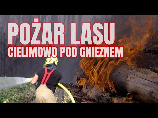 Pożar 20 hektarów lasu. Walka strażaków z ogniem i apel o ostrożność w lasach!