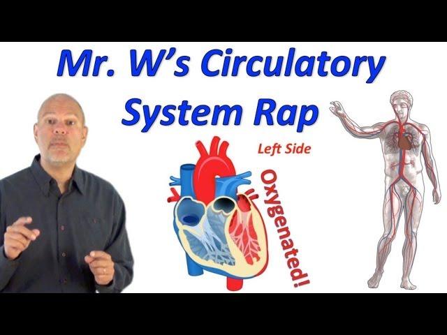 Circulatory System Rap (Pump it Up!)