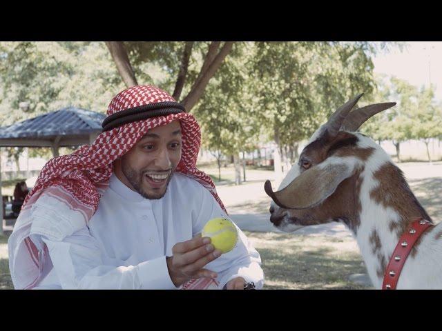 Man's Best Friend | Anwar Jibawi & Jeff Wittek