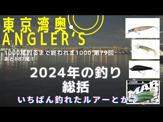 【東京湾奥】2024年の釣り総括！/ルアー釣り3年目　一番釣れたルアーとか！【シーバス釣り】Can We Catch Fish In Tokyo Bay? #79