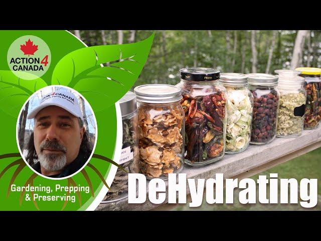 A4C Prepper Dan Vlog7 Dehydrating