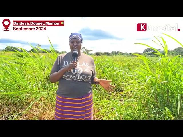 Mamou/Dounet  : KUMPITAL est allé à la rencontre de Mariama Ciré CAMARA, agricultrice,gérante de