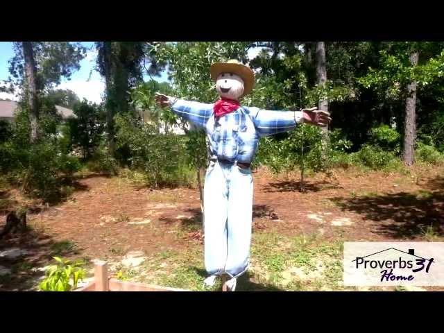 How To Make a Scarecrow