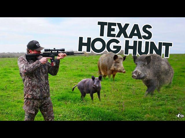 HOG HUNTING In Texas | MASSIVE BOAR DOWN!!!