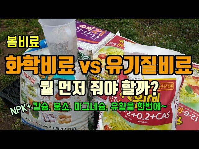 화학비료와 유기질비료중 뭘먼저 줘야할까요? 슈퍼원예 칼슘유황 복합비료를 감귤 봄비료로 주었습니다.