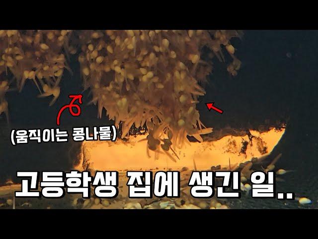 국가에서 필요한 고등학생입니다..놀라운 일이네요..ㄷㄷ