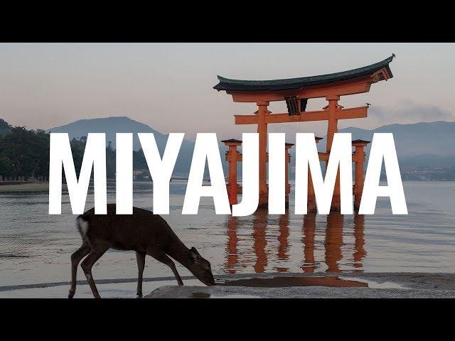 UN DÍA EN MIYAJIMA - JAPÓN || Comiviajeros.com