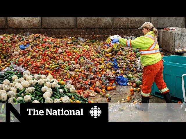 Canadians get creative in solving food waste problem