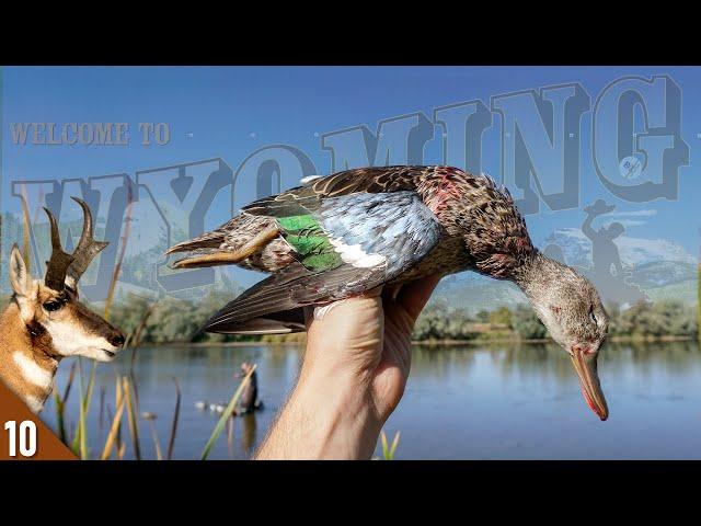 Wyoming OPENING DAY Duck Hunt | 28 Gauge Duck and Goose Hunting