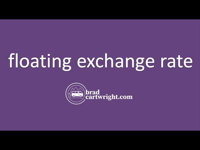 What is a Floating Exchange Rate System?  | IB International Economics | The Global Economy