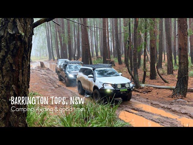 Barrington Tops - 4wding, camping & shenanigans - HGT - Happy Go Travel