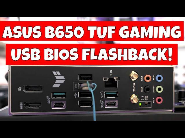 NO CPU BIOS Flash Back ASUS B650 TUF Gaming Plus Wifi