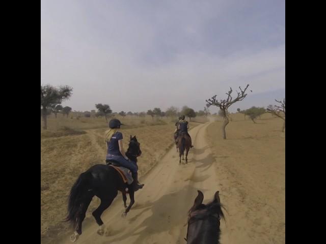 Mandawa Day 1 (Horseback Safari) - By Joe Alapatt