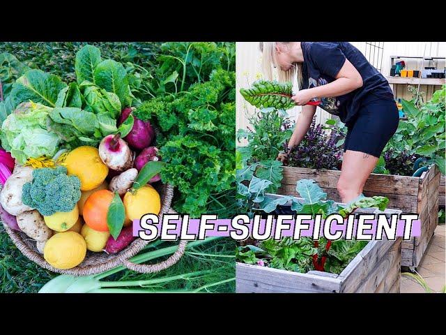 10 Ways to Become More SELF-SUFFICIENT Right NOW!