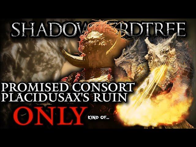 Can You Beat Promised Consort Radahn Using Only Placidusax's Ruin? ʸᵉˢ