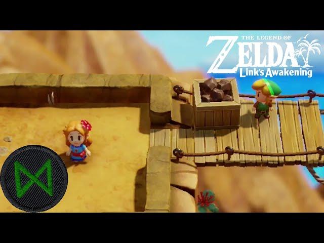 Everyone Should Experience Unrequited Love - The Legend of Zelda: Link's Awakening [17]