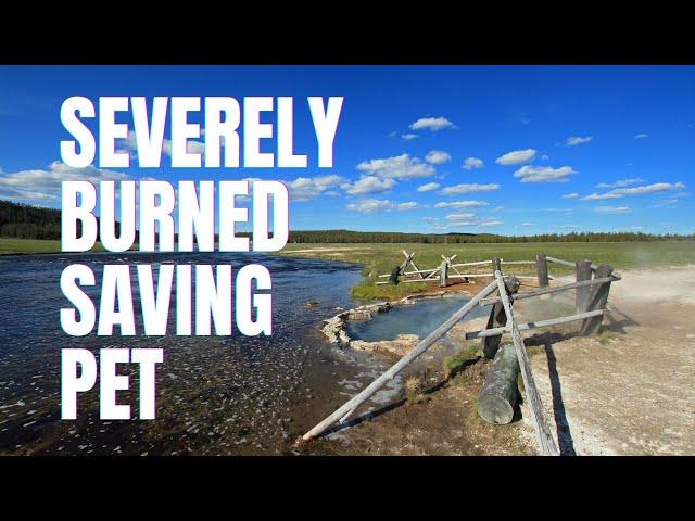 Monuments Restored, Sequoias Destroyed, Mammoth Grows, Wolves Killed, White Sands Discovery, & More