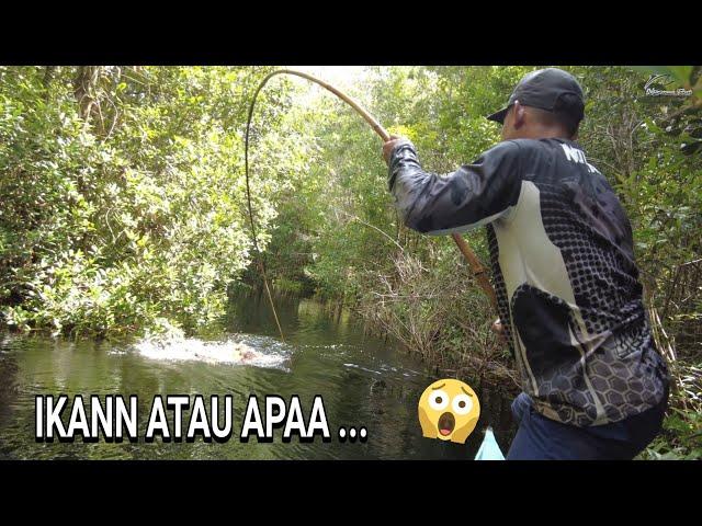 GELEGAR HENTAKAN DI SUNGAI BIAWAK .. YANG MENYAYAT JIWA ..  ..