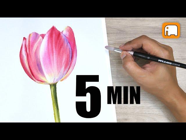 5 minute PINK TULIP  watercolour tutorial / Watercolor painting for beginner  Step by step