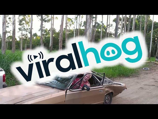 Car Still Runs After Being Smashed by a Tree || ViralHog