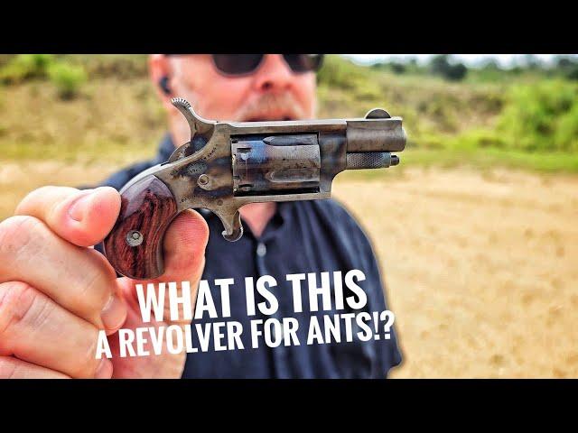 What Is This, a Revolver For ANTS?