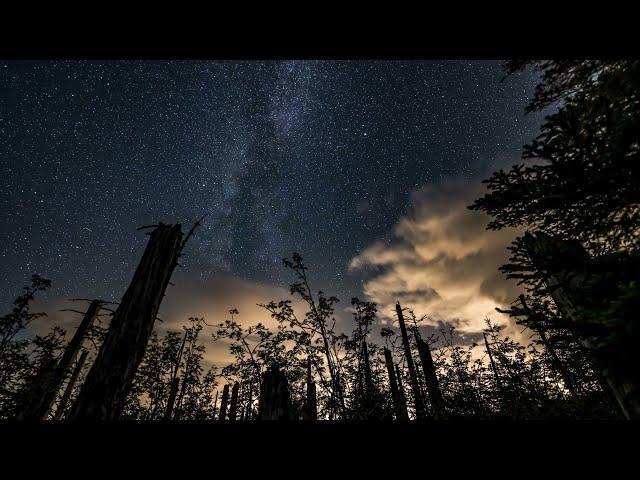 Ein Tag im Nationalpark Schwarzwald