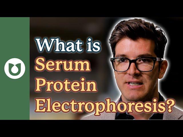 What is a Serum Protein Electrophoresis (SPEP)?