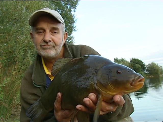 Record Breaking Fish Pike, Rudd, Grayling and Tench